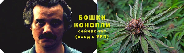 спиды Вязьма