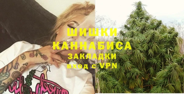 молекула духа Горно-Алтайск