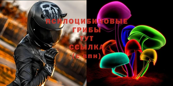 СК Вяземский